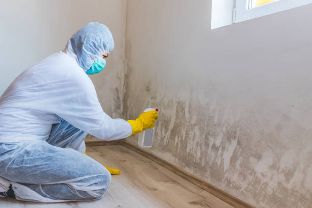 Mold Remediation specialist working in Manchester